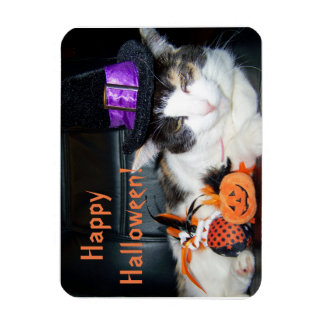 Happy Halloween Witch Cat Card Magnet