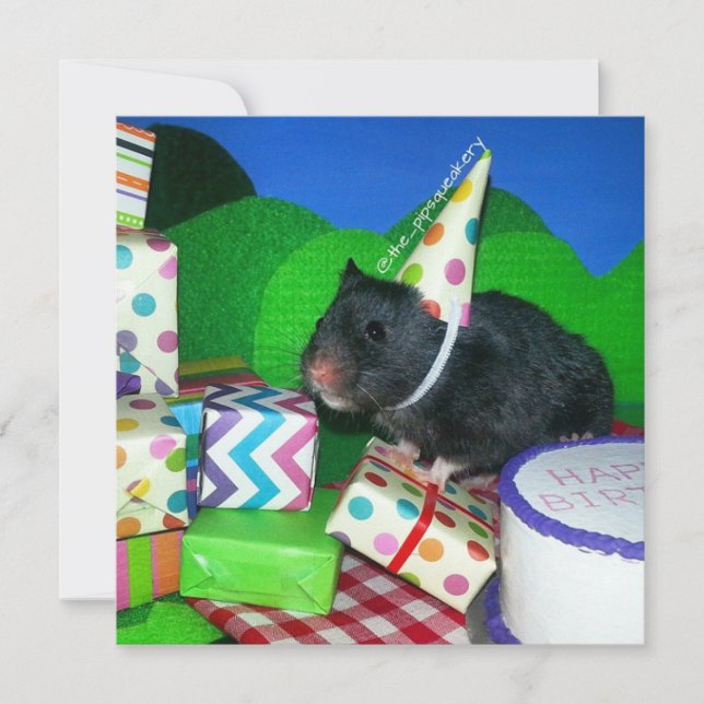 Happy Hamster Birthday! Card (Front)