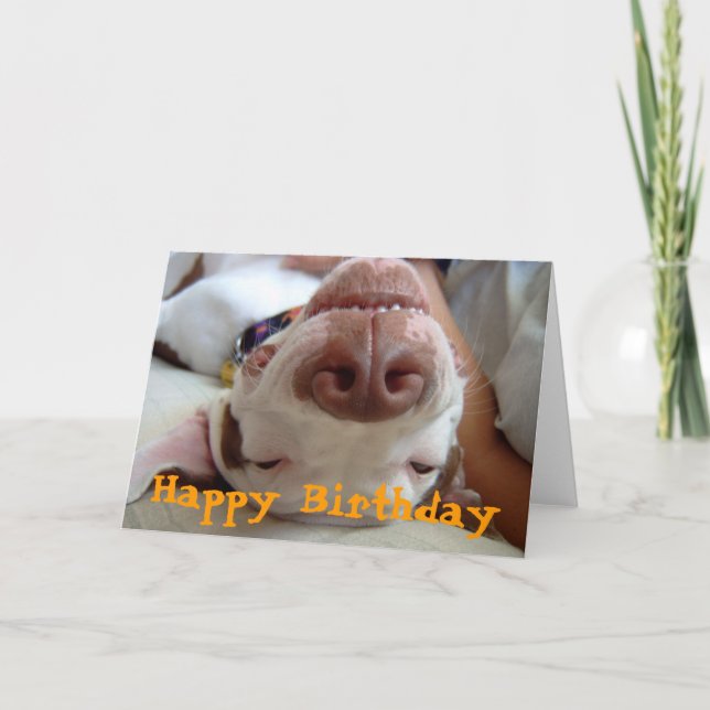 Happy Happy Birthday Card (Front)