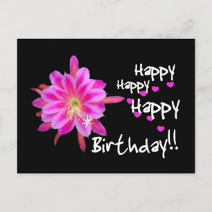 Happy Happy Happy Birthday - Pink Tropical Flower Postcard