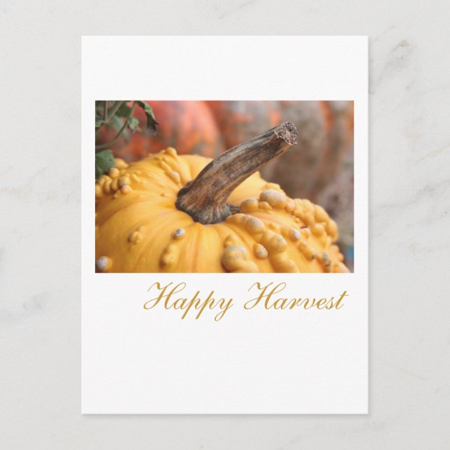 Happy Harvest! Postcard (Front)