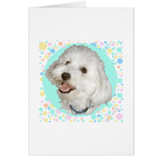 Happy Havanese (Front)