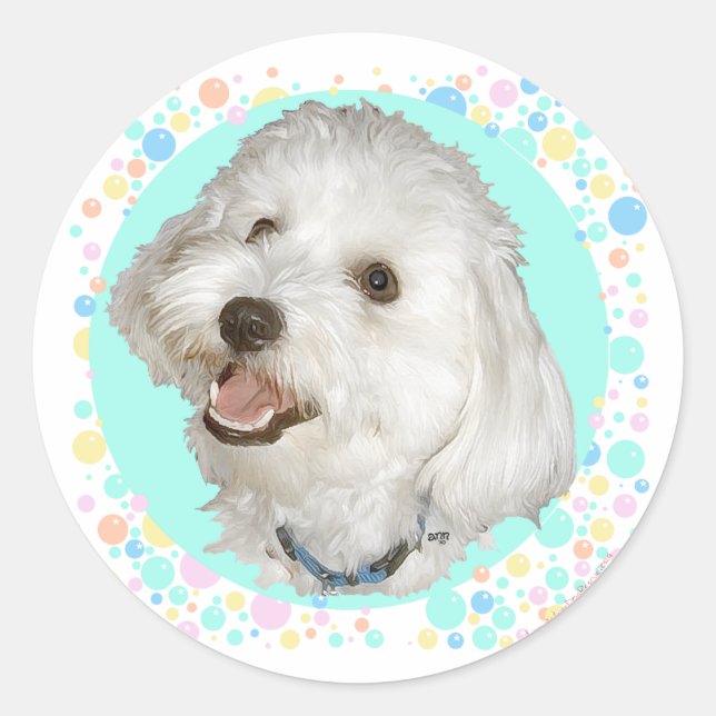 Happy Havanese Classic Round Sticker (Front)
