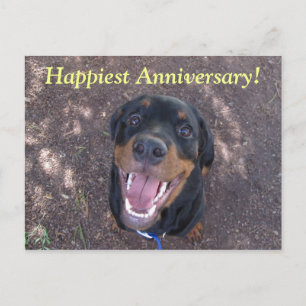 Happy Heidi Happiest Anniversary Postcard