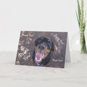 Happy Heidi Rottweiler Thank You Greeting Card