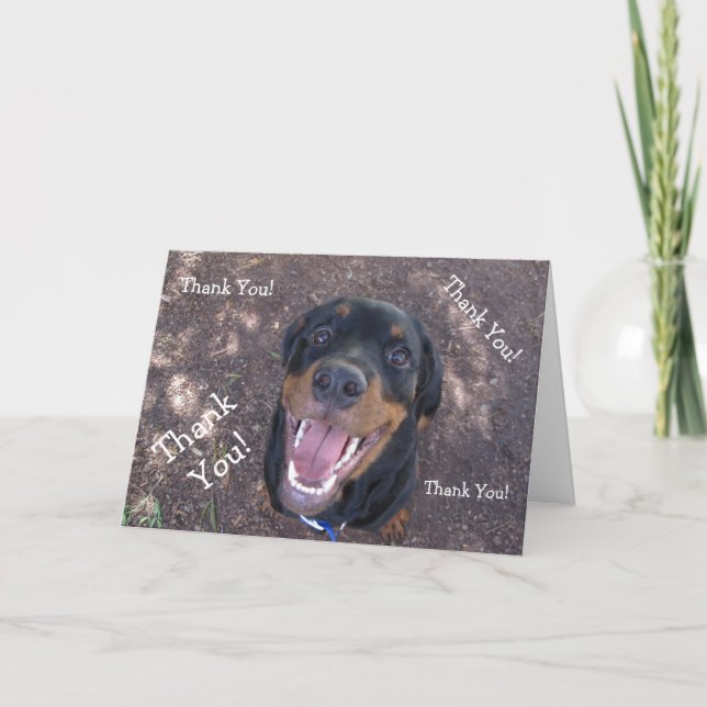 Happy Heidi Rottweiler Thank You Greeting Card (Front)