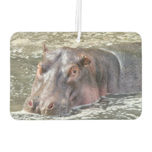 Happy Hippo Car Air Freshener