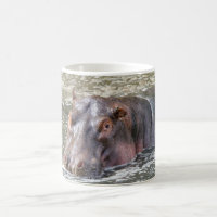 Happy Hippo