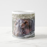 Happy Hippo