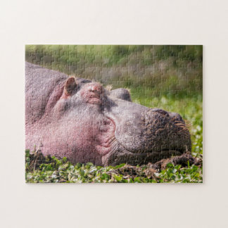 Happy Hippo Puzzle