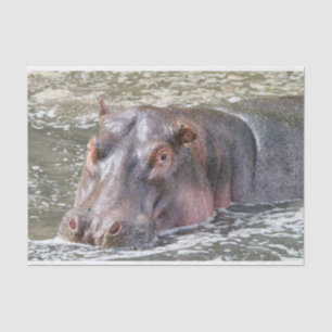 Happy Hippo Tissue Paper
