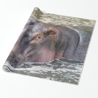 Happy Hippo