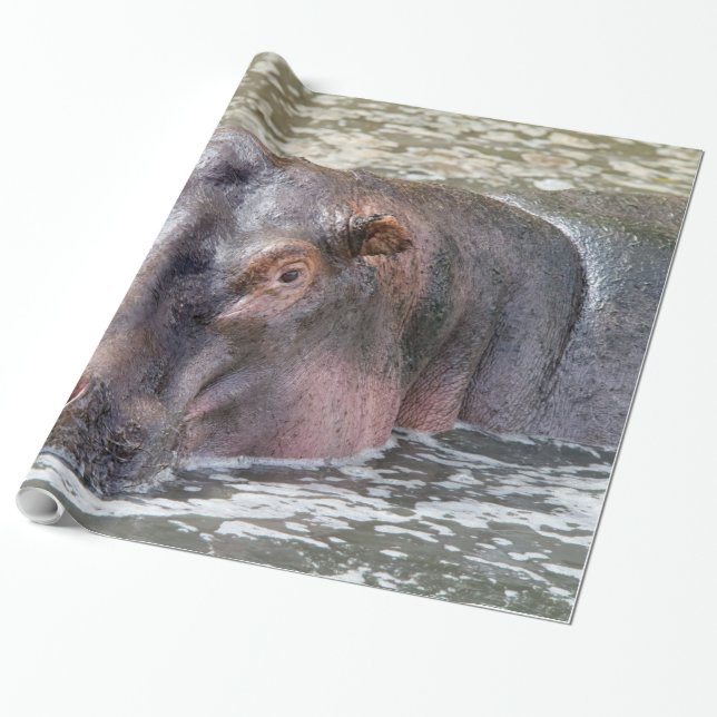 Happy Hippo Wrapping Paper (Unrolled)