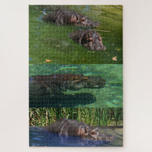 Happy Hippos In A Pond, Jigsaw Puzzle