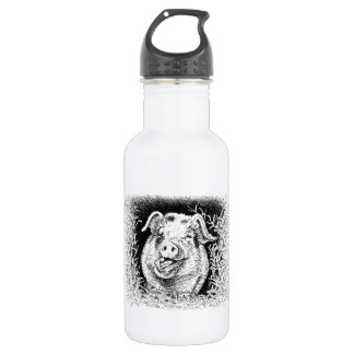 happy hog animal drawing 532 ml water bottle