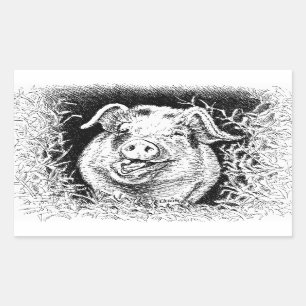 happy hog animal drawing rectangular sticker