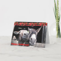 Happy Holibrays from Bunny and Hershey!