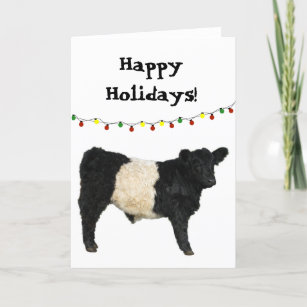 Happy Holiday Christmas Belted Galloway Beltie Cow Card