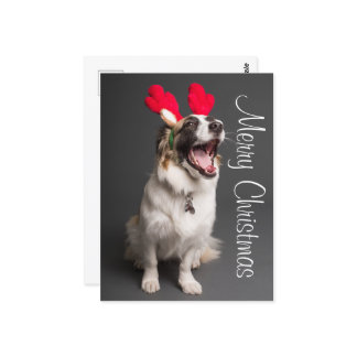 Happy Holiday Puppy Postcard
