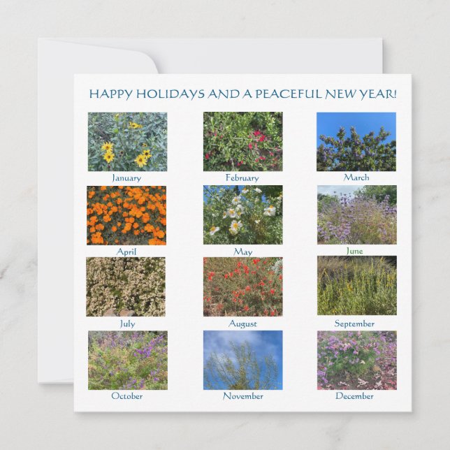 Happy Holidays and a Peaceful New Year! Card (Front)