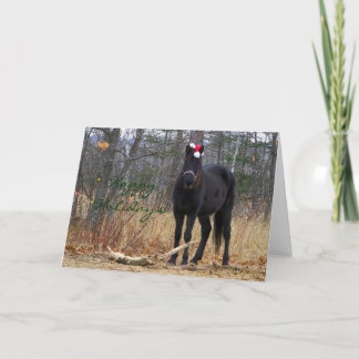 Happy Holidays - Annie Greeting Card