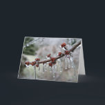Happy Holidays Card<br><div class="desc">Ice encased berries,  winter,  ice,  holidays,  Christmas</div>