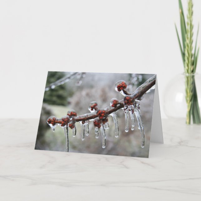 Happy Holidays Card (Front)