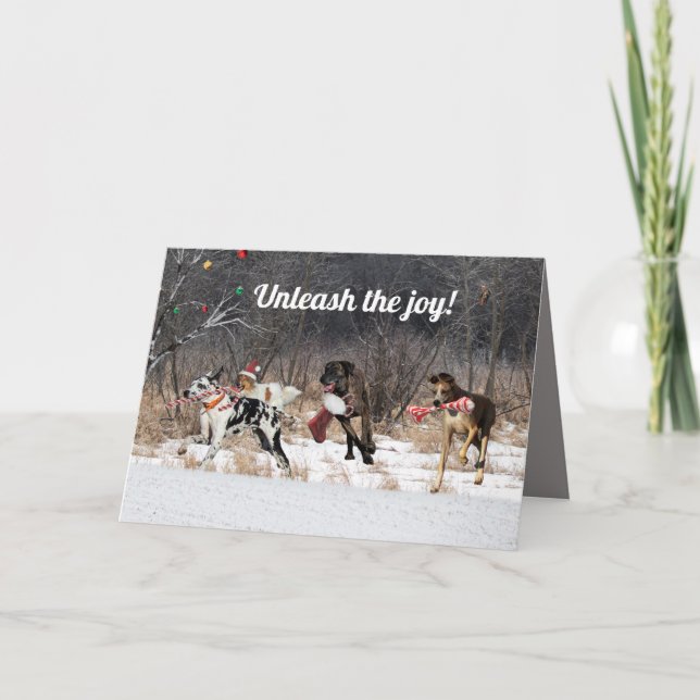Happy Holidays Card Dogs (Front)