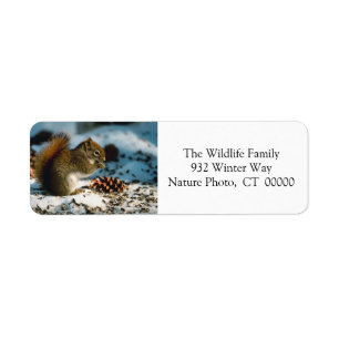 Happy Holidays Card Return Address Stickers