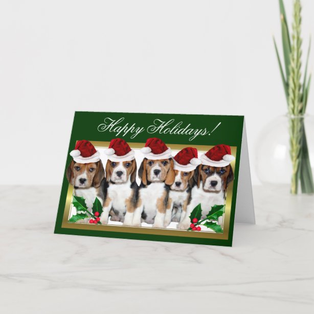 Beagle Christmas Cards | Zazzle UK
