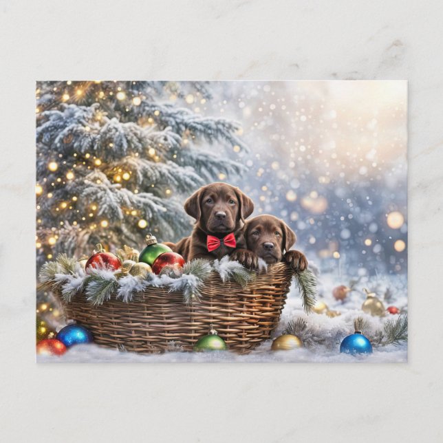 Happy Holidays Christmas Chocolate Lab Puppies Holiday Postcard (Front)