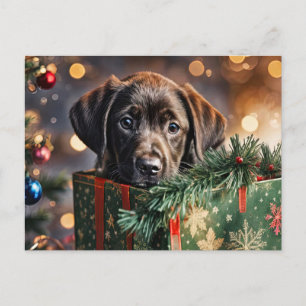 Happy Holidays Cute Chocolate Lab Puppy Holiday Postcard