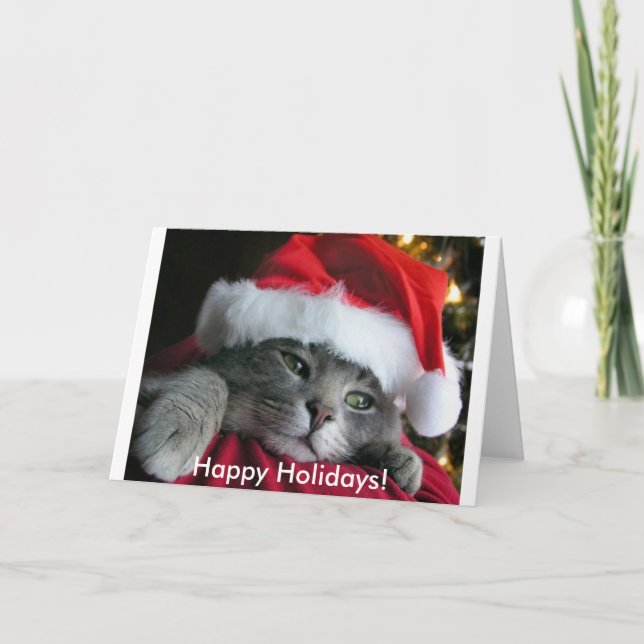 Happy Holidays! Cute Kitten Card (Front)