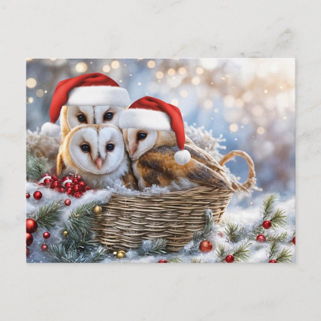 Happy Holidays Cute Owls Wildlife Santa Hats Holiday Postcard (Front)