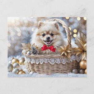 Happy Holidays Cute Pomeranian Puppy Christmas Holiday Postcard
