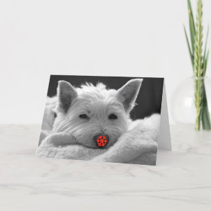 Happy Holidays - Cute Westie Dog Card
