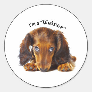 Happy Holidays Dachshund Dog Animal Pet Classic Round Sticker