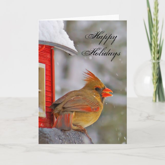 Happy Holidays Female Cardinal Holiday Card (Front)