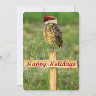 Happy Holidays Festive Owl Card Large 5 x 7