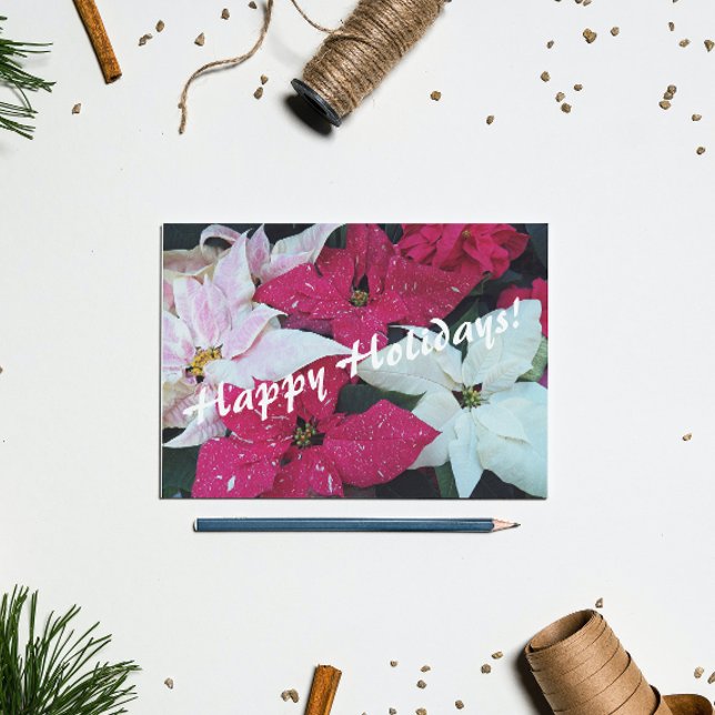 Happy Holidays Festive Poinsettias Holiday Card (In Situ)