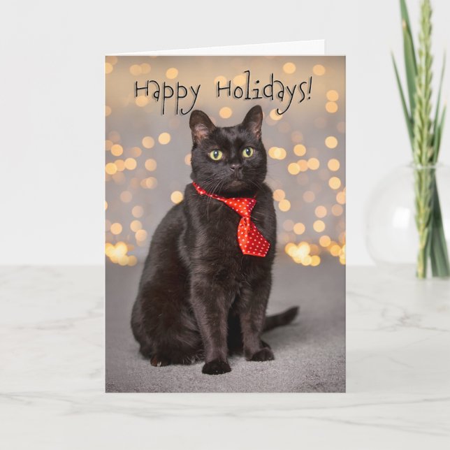 Happy Holidays For Anyone Cute Black Cat Holiday Card (Front)