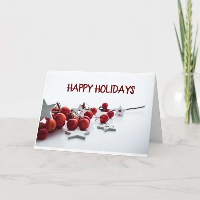 *HAPPY HOLIDAYS* FOR ANYONE THIS YEAR! HOLIDAY  (Front)