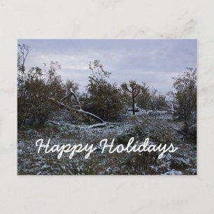 Happy Holidays from the desert Holiday Postcard