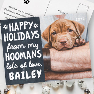 Happy Holidays Funny Modern Pet Custom Photo Holiday Postcard