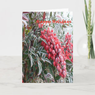 Happy Holidays Greeting Card
