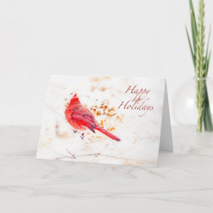 Happy Holidays Greeting Card - Eastern Cardinal