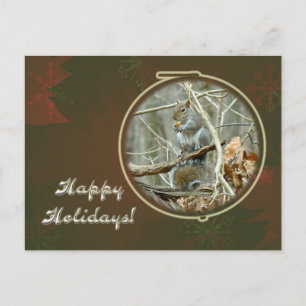 Happy Holidays Greeting - Grey Squirrel Holiday Postcard