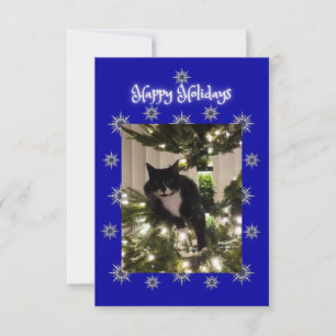 Happy Holidays greeting. Tuxedo cat.