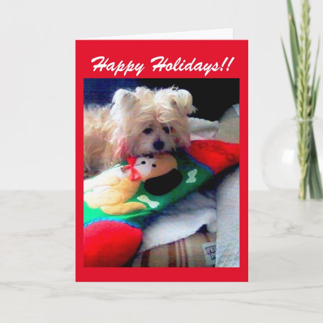 Happy Holidays Holiday Card (Front)