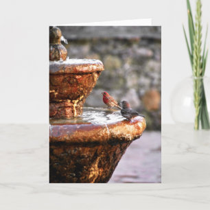 Happy Holidays Holiday Card